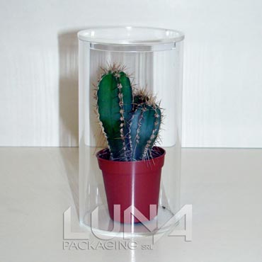 scatola in plexiglass per pianta grassa diametro8 h15 cm
